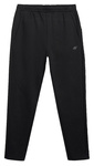 Spodnie dresowe 4F męskie czarne Treningowe