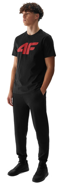 Spodnie dresowe 4F Męskie sportowe joggery czarne